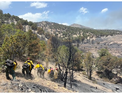 Firefighters mopping up on the Cottonwood Fire
