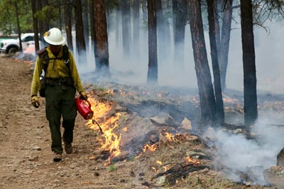 Firefighter on the Bear Fire