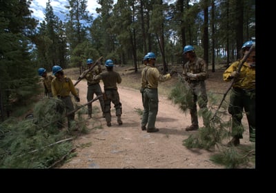 Sacation Fire - Crew removing slash off Bearwallow road.