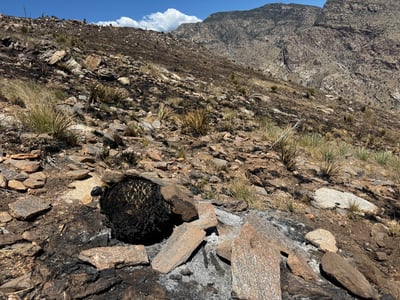 Table Mountain Evening Update, June 18, 2026