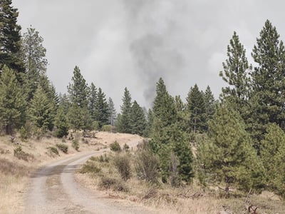 Bologna Fire Smoke Photo