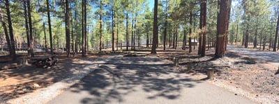 Jemez Falls Campground southern loop 6-27-26