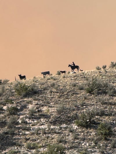 Seven Cabins Fire-Smoke behind a cowboy-May 20, 2026