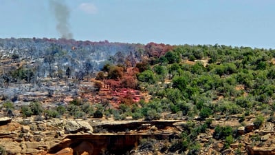 Retardant Line on the Snyder Fire