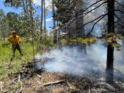 Taking the Heat Out: Mop-Up on the Cottonwood Fire