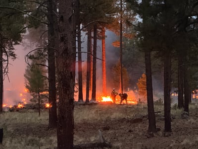Firing off HWY 4 June 25, 2026