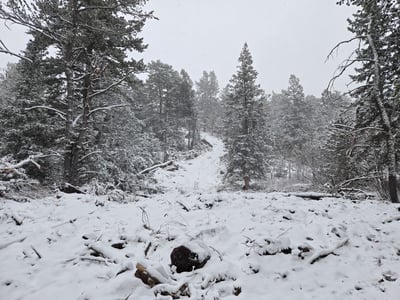 Dozer line in Snow