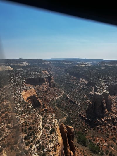 Snyder Fire Terrain, July 2
