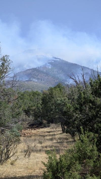 Seven Cabins Fire-Trail to Fire-May 18, 2026