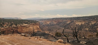 Snyder Fire Burned Area, June 30